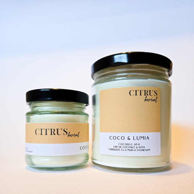 Citrus boréal
